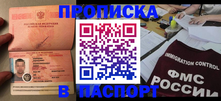 временная регистрация поиск в Курчалом